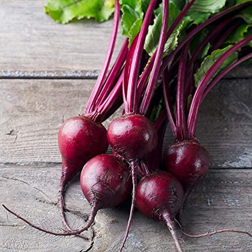 Biotta Organic Beet Juice - 100% Vegetable Juice for Energy Immunity &amp Wellness - Excellent Source of Nutrients - All Natural Non-GMO Gluten-Free (16.9 Fl Oz Pack of 6)