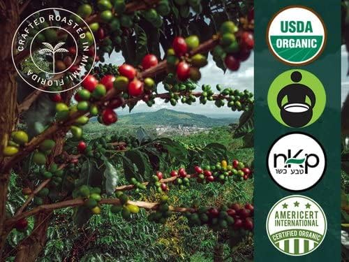Artizan Coffee USDA Organic Ground Coffee | Cuba Mia Blend | Dark Roast | Medium Grind for Drip | 2 lbs | Roasted in South Florida