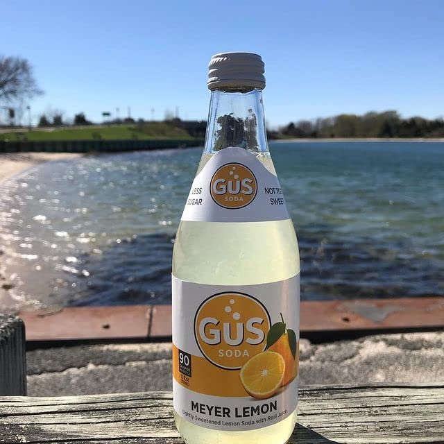 GuS Grown-Up Soda | Lightly Sweetened Sodas with Real Juices | 12 Fl Oz (Pack of 24) (Dry Meyer Lemon)