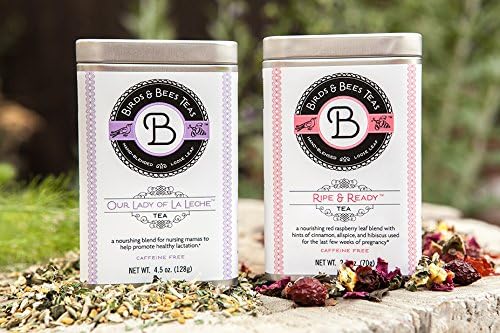 Birds &amp Bees Teas - Organic Lactation Tea - Our Lady of La Leche Breastfeeding Supplement &amp Lactation Supplement to Boost Supply of Mother's Milk with Organic Herbs 40 Servings 6.5 oz