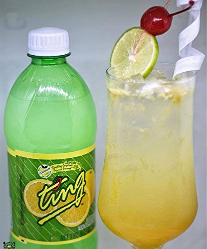 Ting Lightly Carbonated Soda 20 Oz (Pack of 24)