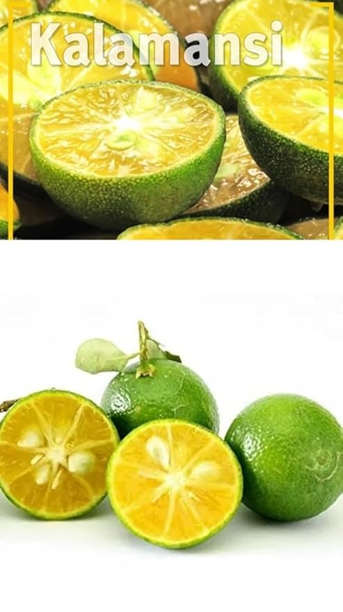 Organic Natural Pure Calamansi Extract Powder - 7.05 Ounce (200g)
