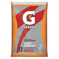 Gatorade Thirst Quencher Powder – Fruit Punch 51 oz Bag – Makes 6 Gallons