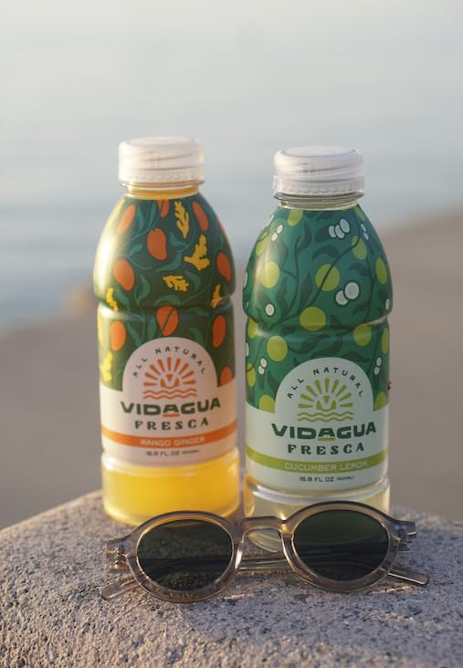 Vidagua Agua Fresca Mango Ginger Ready-to-Drink Fruit Beverage 16.9 fl oz Bottles Pack of 12