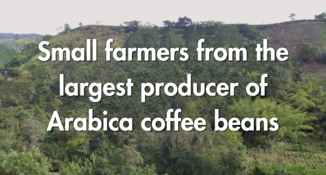 Café Grumpy Decaf Medium Roast Coffee Organic Seasonal Origin French Press Grind Premium Fine Grind for Pour Over &amp Cold Brew Espresso 12oz