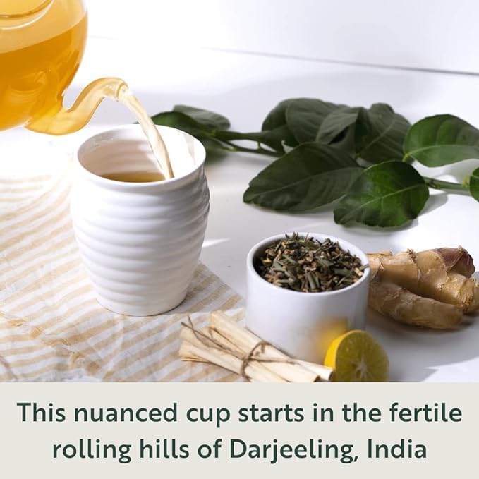 Luxmi Estates Citrus Sky Organic Lemongrass Ginger Green Tea (90 Tea Bags) Mildly Caffeinated Tea Bags For Detox Cleansing and Digestion With Certified Organic Darjeeling Makaibari Green Tea