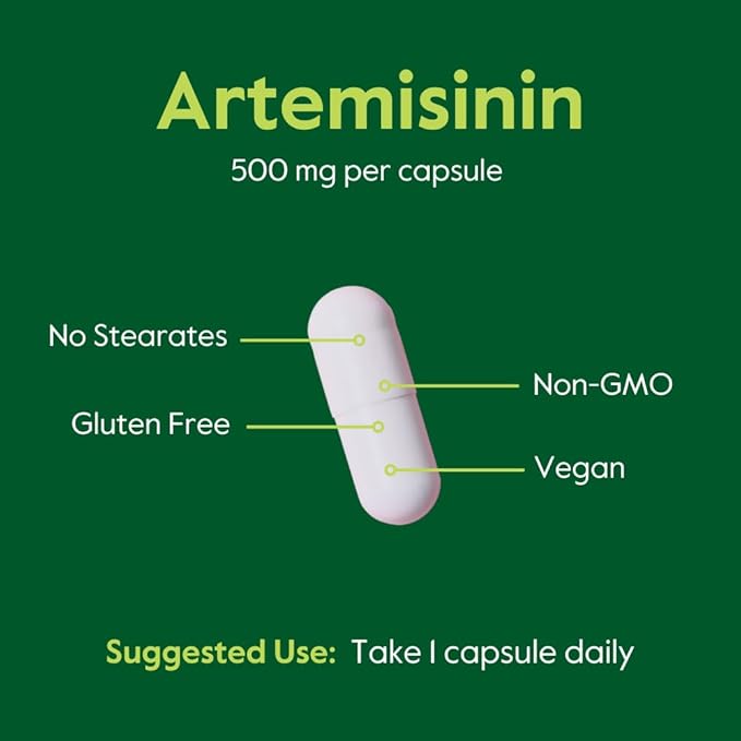 BESTVITE Artemisinin 500mg per Capsule (60 Vegetarian Capsules) - No Stearates - No Flow Agents - No Fillers - Vegan - Gluten Free - Non GMO