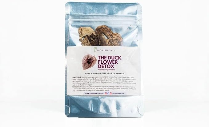 Duck Flower Detox Tea (2 Duck Flowers) Aristolochia grandiflora Wildharvested from Jamaica All Natural Total Body Cleanse