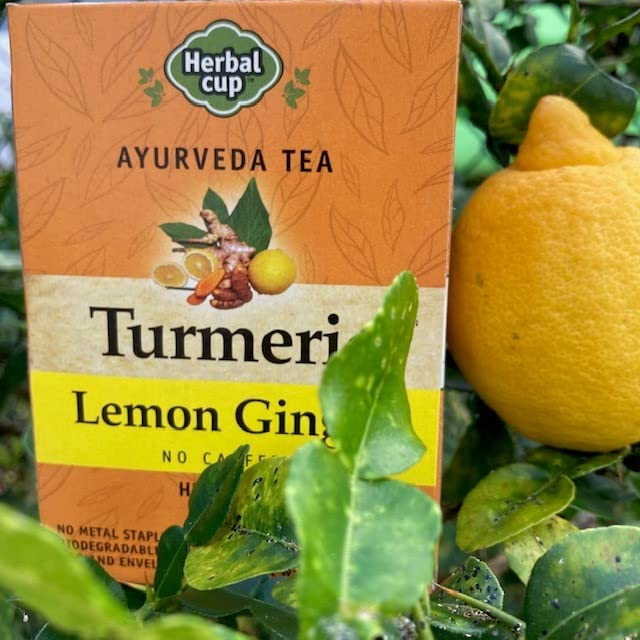 Herbal Cup Ayurveda Turmeric Tea Organic Lemon Ginger No Caffeine Herbal Teas (Organic Lemon Ginger 16 Count (Pack of 6))