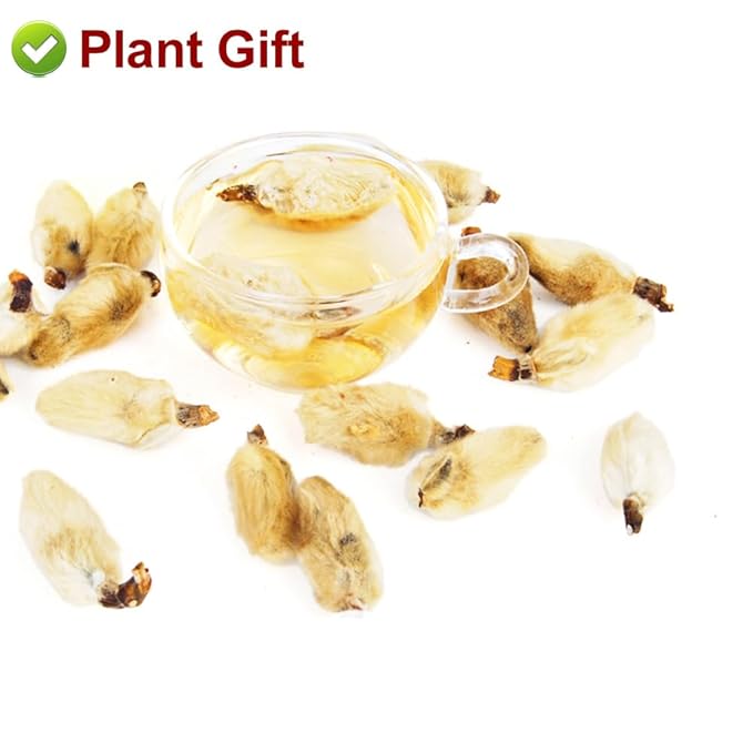 Plant Gift Chinese Medicine Herbal Tea dried magnolia flower flos 辛夷花 magnoliae Xin Yi Hua health skin care Flower Tea Herbs 80g/2.82oz