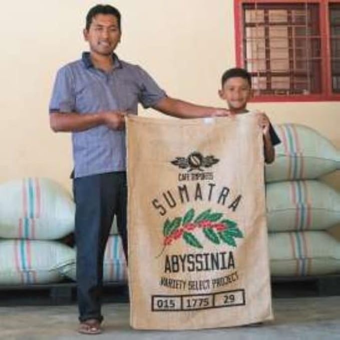 Sumatra Single Origin | Arabica Coffee | Organic | Dark Roast |1 Pack (Ground 12oz)