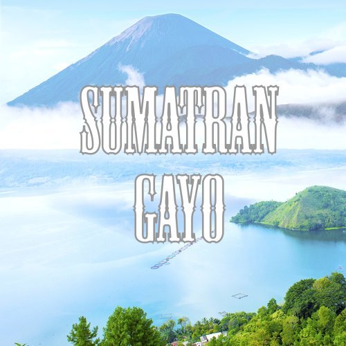 Sumatran Gayo Coffee Ground Low Acid Fair Trade Fresh Roasted 16-ounce