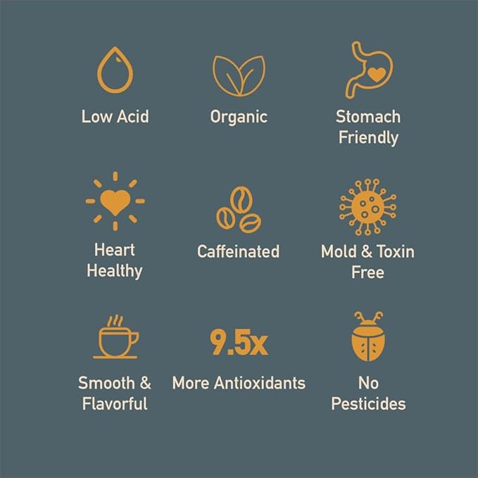 Healthy Bean Coffee Thrive Morning Blend - Organic Ground Coffee Medium Roast 11 oz and Low Acid Coffee Pods -Semi-Dark Roast 12 Pack