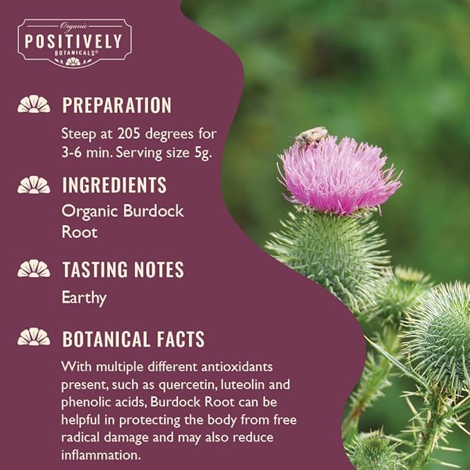 Organic Positively Botanicals Company Burdock Root Herbal Tea Loose Leaf Botanical 16 Ounce