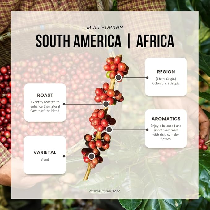Reborn Coffee Specialty Whole Bean Coffee Medium Roast 12 Ounce Reborn Signature Floresta Espresso Blend Flavor Notes of Chocolate Vanilla and Orange