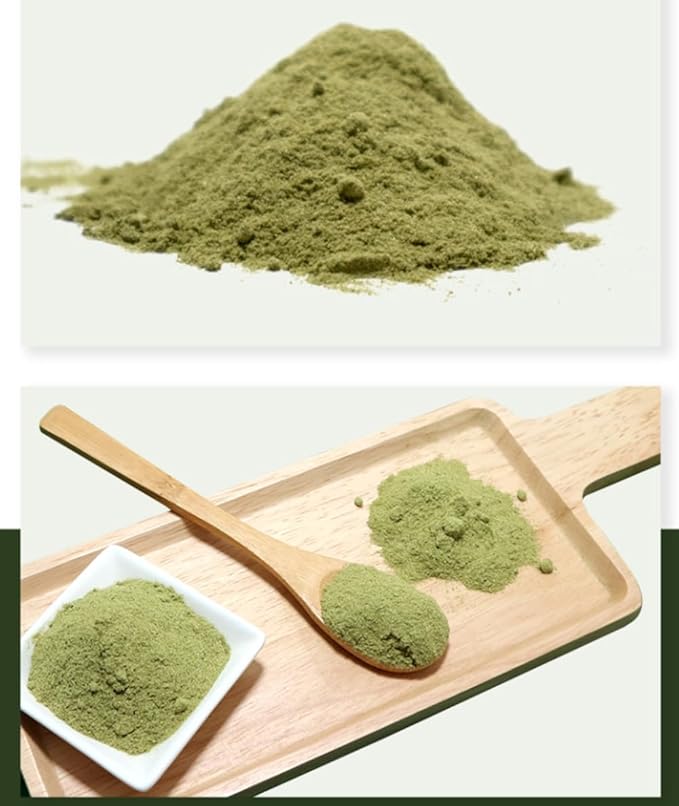 Organic Natural Pure Ashitaba Angelica keiskei Extract Powder - 1.1 Pound (500g)