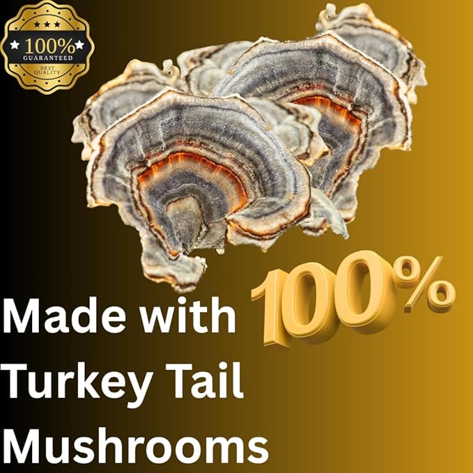 Turkey Tail Mushroom Liquid Extract Tincture Daily Supplement Double Extracted for High Potency 2 Fl oz 60 doses