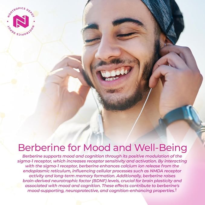 Nootropics Depot Berberine HCL + Silymarin Capsules | 500mg + 90mg | 180 Count | Supports Cellular Function Metabolic Function and Balanced Inflammation Levels