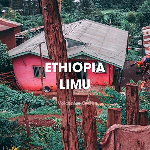 Ethiopia Limu Coffee Ground Fresh Roasted 5 lbs