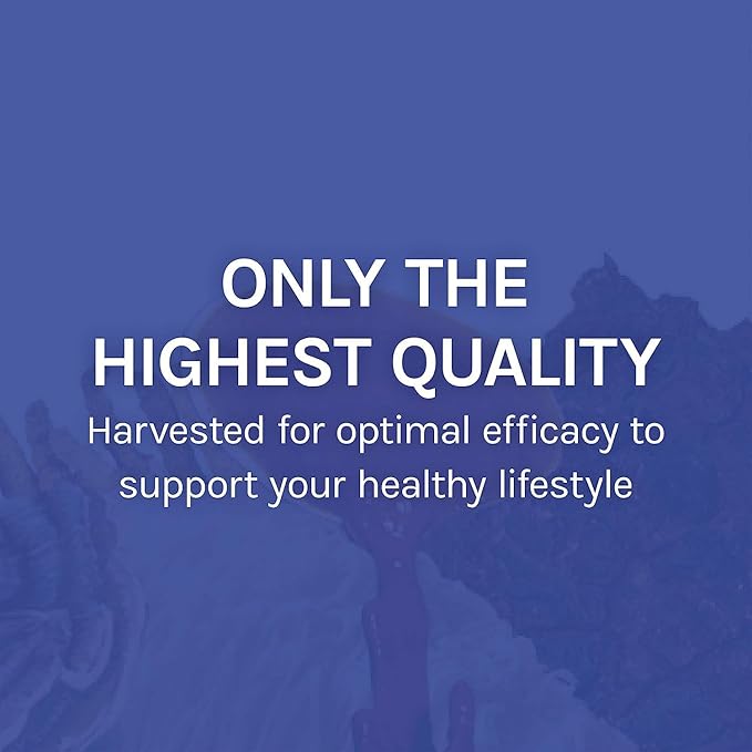 Host Defense Stamets 7-7 Species Blend - Mushroom Supplement for Immune Support - Includes Royal Sun Blazei Cordyceps Reishi Maitake Lion's Mane Chaga &amp Mesima - 120 Capsules