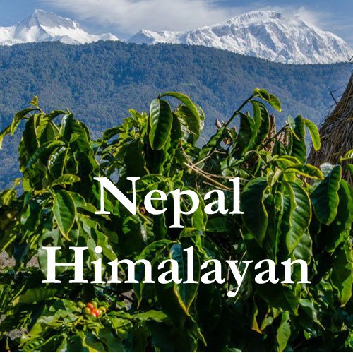 Nepal Himalayan Coffee Ground Fresh Roasted 5 lbs