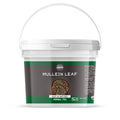 Birch &amp Meadow 1 Gallon of Mullein Leaf Cut &amp Sifted Herbal Tea