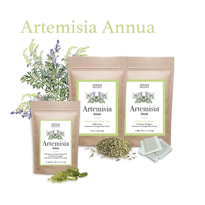 Siyah Organics Artemisia Annua Herbal Tea Bags - Antioxidant Tea - 100% Natural &amp Organic Vegan Herbal Tea - Handmade Herbal Supplement - 21 Tea Bags