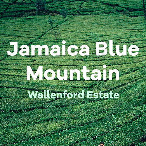 Jamaican Blue Mountain Coffee Wallenford 100% Certified Ground Fresh Roasted 16-ounce