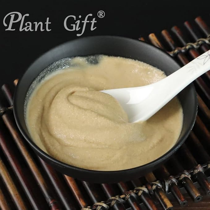 Plant Gift 100% Pure Angelica Dahurica Powder 白芷粉 Natural Angelica Flour Dong Quai Root Powder for Drinks Adds Flavor and Taste Non-GMO Powder No Filler No additives 100G/3.25oz