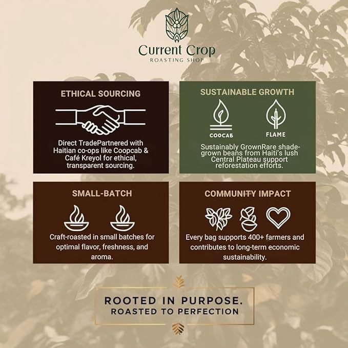 Current Crop Roasting Shop Haiti Marre Blanc Coffee Beans – Central Plateau Haitian Coffee – Smooth &amp Balanced Profile with Almond &amp Peanut Notes 3 lb bag
