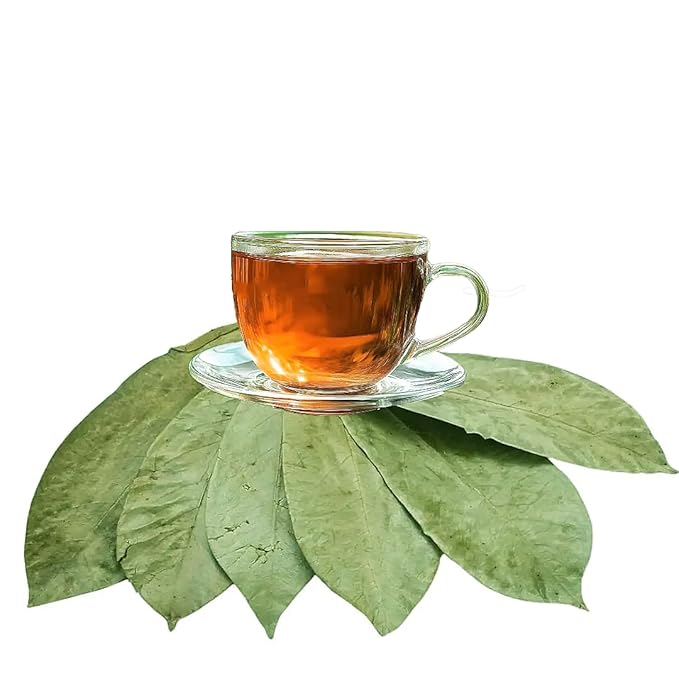 Purelife Herbs® Wildcrafted Soursop (Guanabana Graviola Guyabano) Dehydrated 1000 Leaves (±250g ±8.8oz)