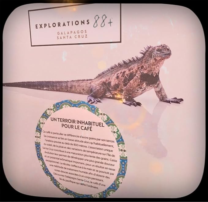 Mont Coffee - Galapagos - Specialty Single Origin Ecuadorian Arabica Coffee | Deluxe | Fresh Roast