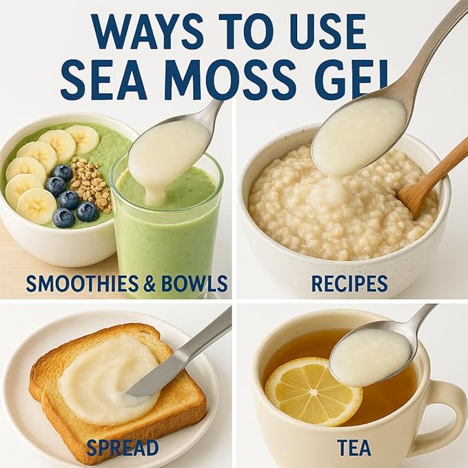 Healistix Blueberry Sea Moss Gel [16 Oz] - Exquisitely Crafted from Seamoss Wildcrafted in The Pristine Waters of St Lucia A Natural Delight - Sea Vegetable in Glass Jar