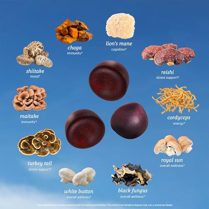 SUNMED All-in-One Mushroom Gummy Supplements for Focus Energy Mood &amp Immune Support – 10 Functional Mushrooms (Lion’s Mane Reishi Cordyceps Chaga) | Wild Raspberry Flavor 60ct