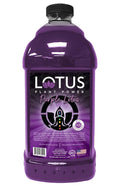 Purple Lotus Plant Energy Drink Concentrate | Pure Cane Sugar | 64 fl oz | 1:5 | Natural Caffeine from Green Coffee Bean