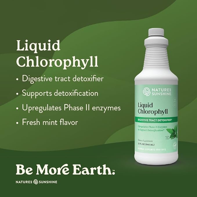 Nature's Sunshine Liquid Chlorophyll - Immunity Support Detox &amp Cleanse Chlorophyll Liquid Drops with Spearmint Oil Natural Energy Boost Internal Deodorant - 16 Fl Oz