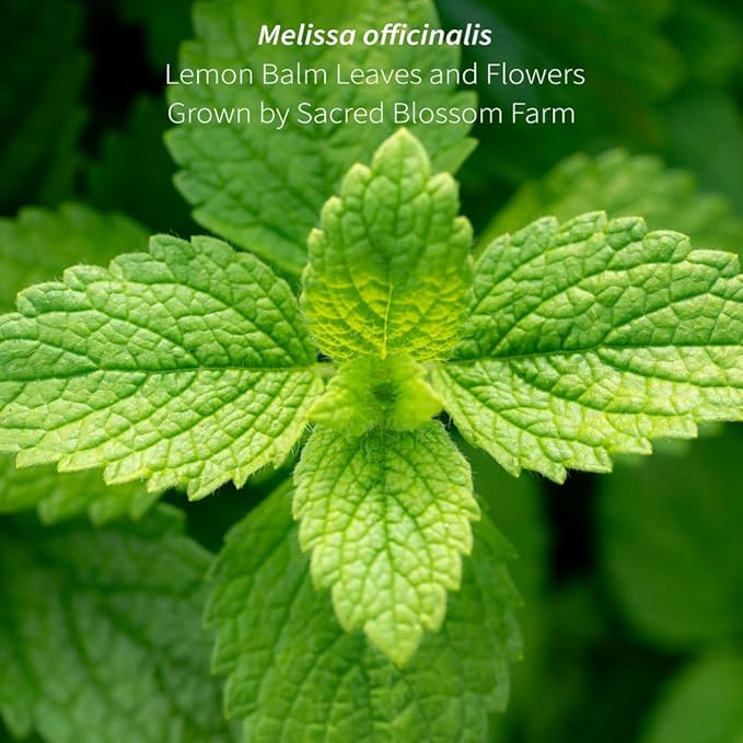 Lemon Balm Tea Organically Grown in Wisconsin | 4.9 oz | 69 Servings | Sacred Blossom Farm | Herbal Tea &amp Medicinal Herbs | Loose Leaf | Regenerative Farming | Single Source | Melissa officinalis