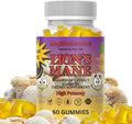 Lion’s Mane Sugar Free Vegan Gummies High Potency Double Extracted 60 Gummies