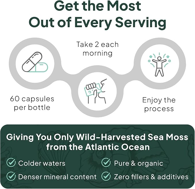 Organics Ocean Wild Sea Moss Capsules - 100% Organic Irish Sea Moss with Organic Chlorella Bladderwrack and Vitamin D for Energy Lung Health and Thyroid Support for Women and Men - 3 Bottles