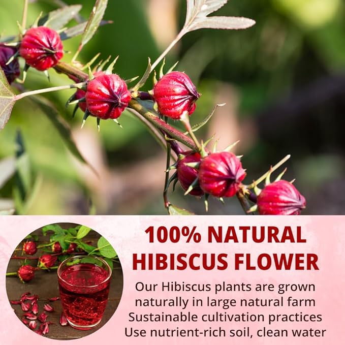 VIDA FARM 50 Hibiscus Tea Bags Natural Dried Hibiscus Flowers Tea Bags Roselle Hibiscus Sorrel Tea Jamaica Roselle Tea No Sugar No Caffeine No Gluten