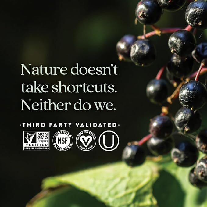 New Chapter Vegan Elderberry Capsules with 64x Concentrated Black Elderberry + Black Currant for Comprehensive Immune Support Non-GMO Project Verified Gluten Free Certified Vegan 30 Count