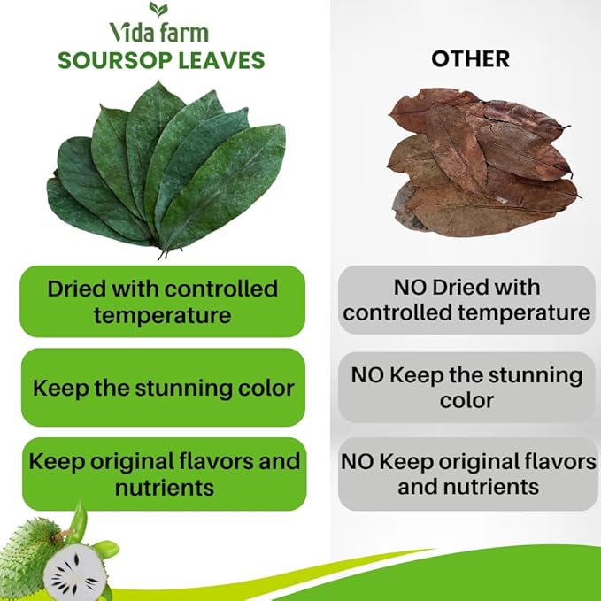 VIDA FARM Premium Dried Soursop Leaves Tea 100% Natural Whole Guanabana Leaves Hojas de Guanabana Para Te Soursop Tea Leaves
