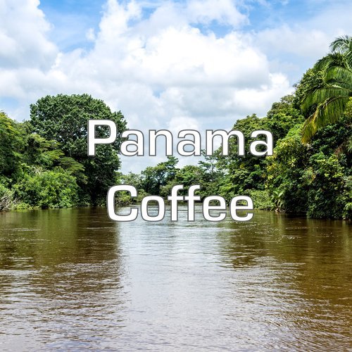 Panama Coffee Boquete Region Ground Fresh Roasted 5 lbs