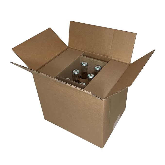 Spot Beverage™ Premium Classic Bottled Soda Brands (12-Pack Jarritos Fruit Punch)