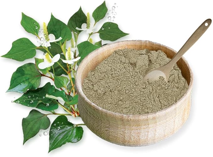 Organic Natural Pure Houttuynia Cordata(Eoseongcho) Extract Powder -10.58 Ounce (300g)