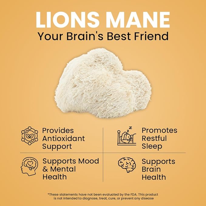 NooMost Lions Mane Mushroom Supplement Capsules 1080mg With Ginkgo Biloba - Energy Focus Clarity &amp Memory Support - Real Superfood for Brain Health for Men &amp Women - Made in USA - 60 Veg Cap