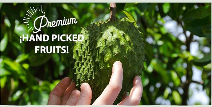 Alpes Premium Soursop Pulp 100% Real Fruit Tropical Guanábana. Ideal for Cocktails Juices Smoothies Desserts Gourmet Sauces Ice creams &amp Snacks 1 Pack 16 fl oz.
