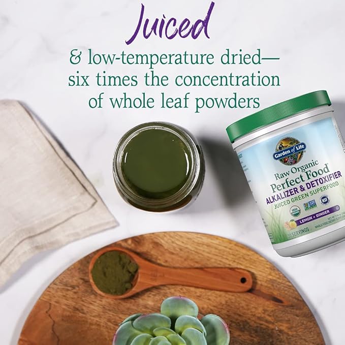 Garden of Life Raw Organic Perfect Food Alkalizer and Detoxifier Lemon Ginger Flavored Superfood Powder Supplement 30 Servings