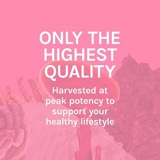 Host Defense Turkey Tail Extract - Digestive Health &amp Immune Response Support Supplement - Mushroom Supplement for Gastrointestinal &amp Gut Microbiome Support - 2 fl oz (60 Servings)*
