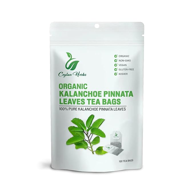 Kalanchoe Pinnata Leaves Tea Bags – 100% Pure Dried Leaves Herbal Tea Bags for Daily Brewing